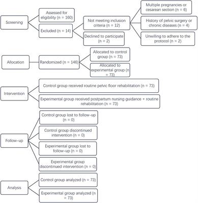 The effect of postpartum nursing guidance on early pelvic floor dysfunction recovery in women of advanced maternal age: a randomized controlled trial